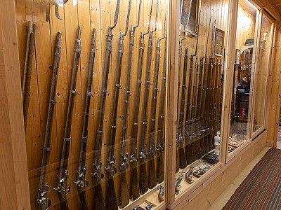 Armes_1